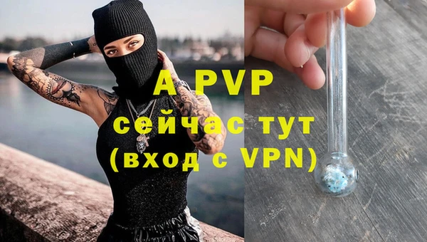 ешки Белокуриха