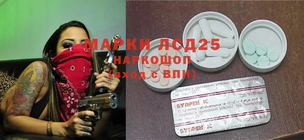 ешки Белокуриха