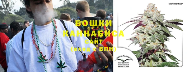 ешки Белокуриха